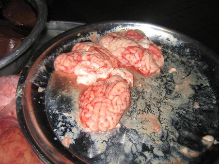 hoher IQ ?