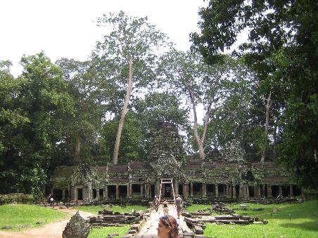 Ta Prohm-hier wurde Tomb Raider gedreht.