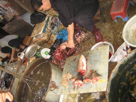 Dieser Frau schaute Katha 10min beim Fischzerhacken zu!