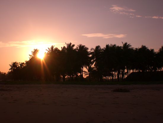 Annas Foto des Tages