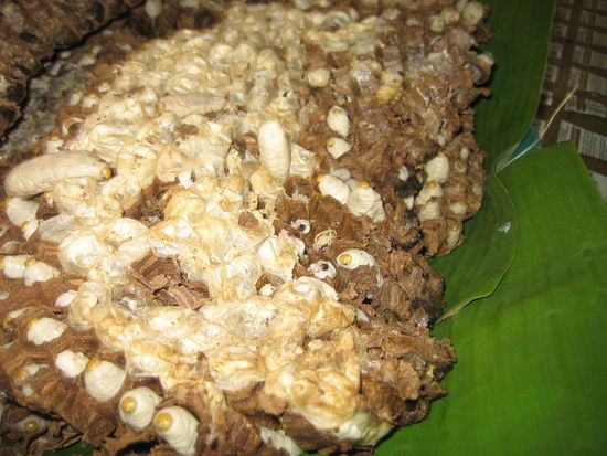 Auch das konnte man essen!?