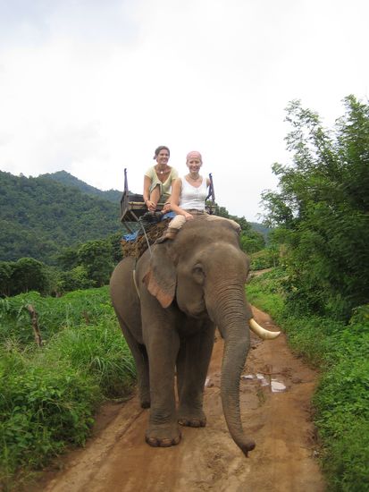 ..als Zahnmediziner haben wir den tief karioes zerstoerten "E1" extrahiert. "E2" war erhaltungswuerdig und fuer ein PV hatten wir keine Zeit.
