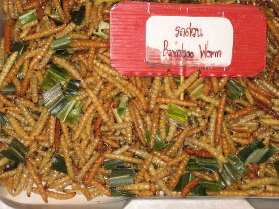 Und dann noch ne hand voll Wuermer...