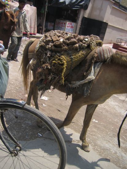 fuer Gedanken zum auftanken