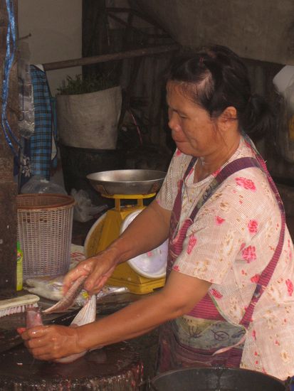 Thaifrau beim Fischhaeuten. Man beachte ihre Inbrunst.