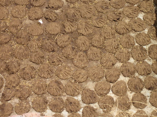 Was ist das? wir wissen es auch nicht und sind fuer kreative Vorschlaege offen...