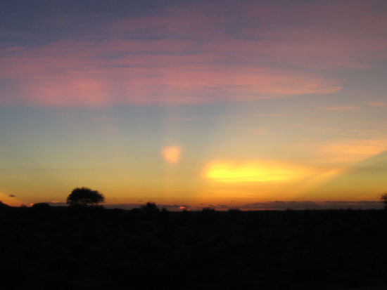 die Belohnung nach quaelenden Stunden auf dem Kamelruecken