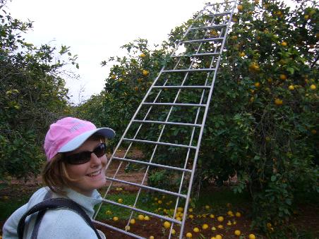 Beim Fruit Picken