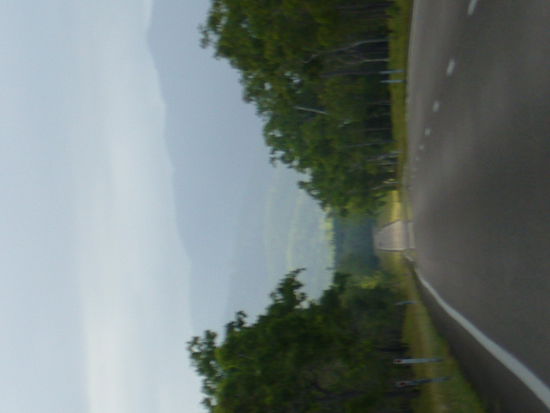 Das Tor zum Dschungel (und man sieht, es geht immer geradeaus)