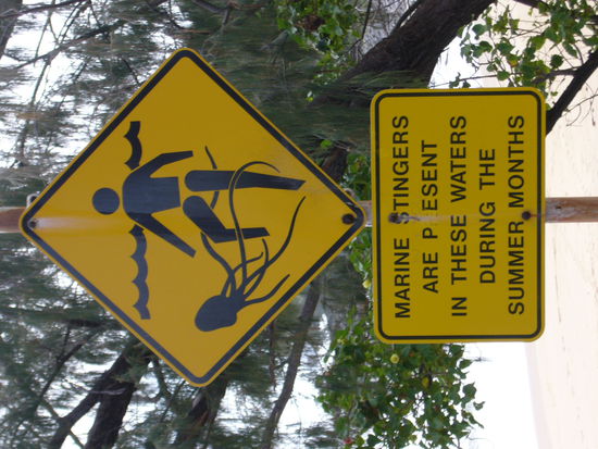 Die machen uns das Strandleben schwer