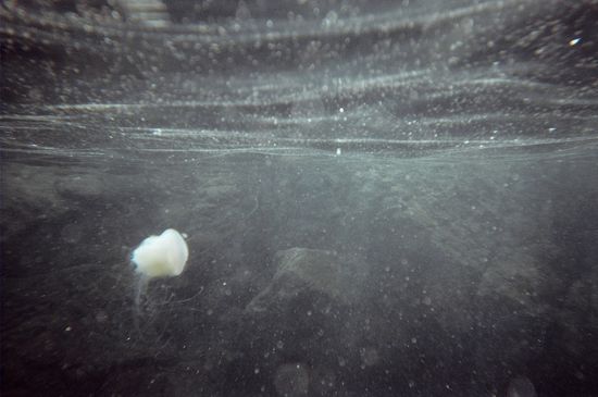 In Lebensgefahr begeben, um ein Foto zu erhaschen