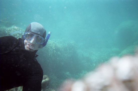 Schnorcheln? Michel hat da was falsch verstanden