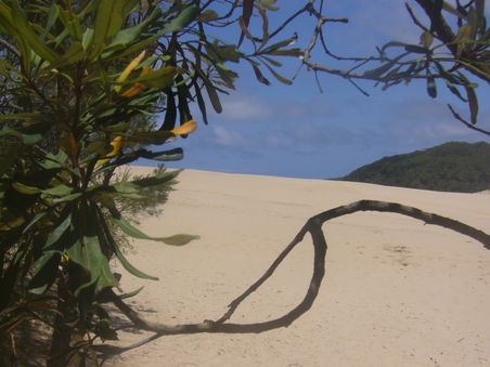 Sandpatch