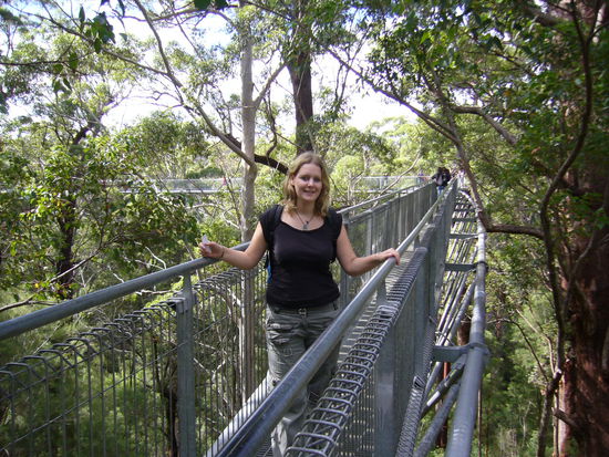 Tree Top Walk