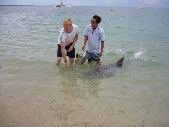 Jay beim Delphinfuettern in Monkey Mia