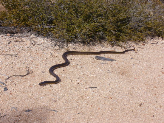 Unterwegs am Strassenrand