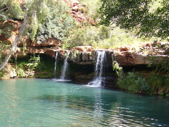 Fern Pool