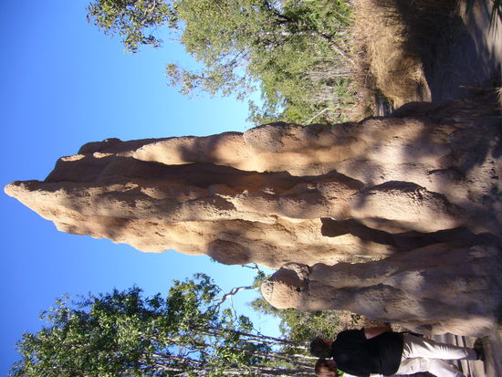 Kathedraltermitenhuegel in Litchfield