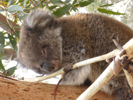 Postkartenmotiv, aber selber geschossen