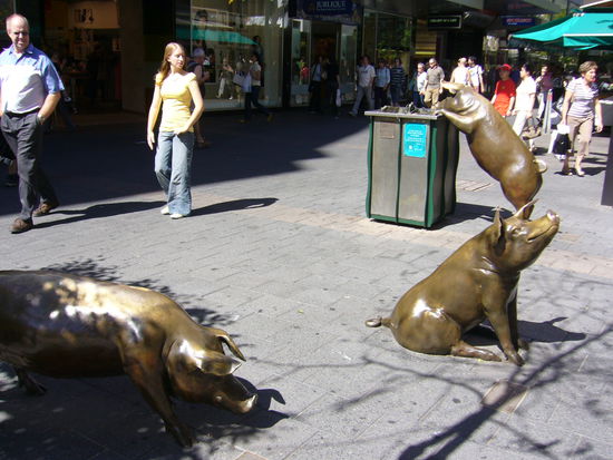 In Rundle Mall: Schwein gehabt