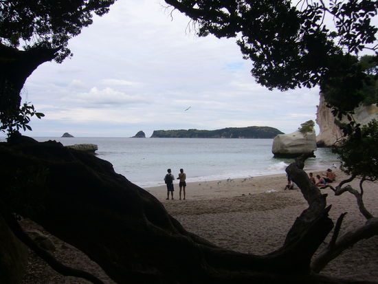 Cathedral Cove (zu der wir erst mal ne halbe Stunde laufen mussten!)