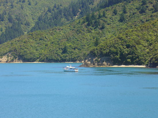 Cook Strait