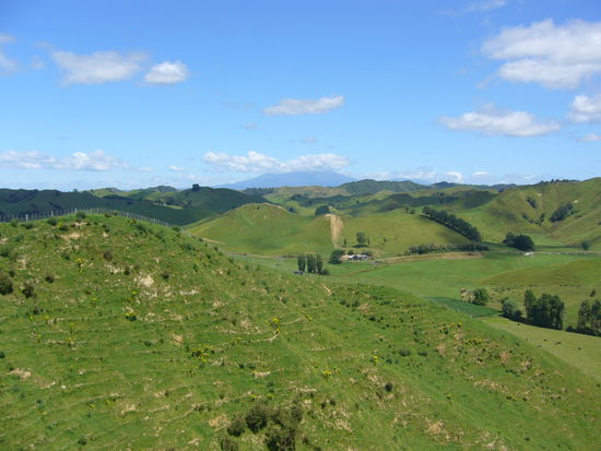 Das Auenland am Forgotten World Hwy