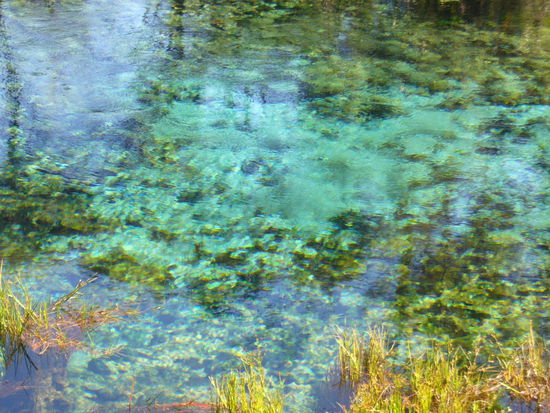 An den Pupu Springs, der groessten Suesswasserquelle (weiss nicht, ob der suedlichen Hemisphaere oder gar weltweit?)