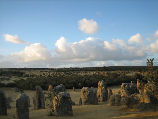 Pinnacle Dessert morgens kurz nach dem Sonnenaufgang... traumhaft schön