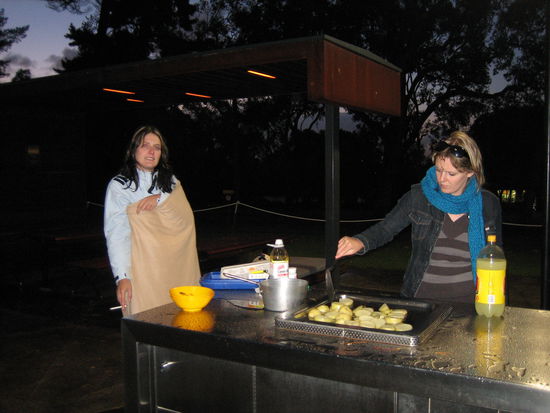Kings Park in Perth &gt; bei schönem Wetter kann jeder BBQ machen 