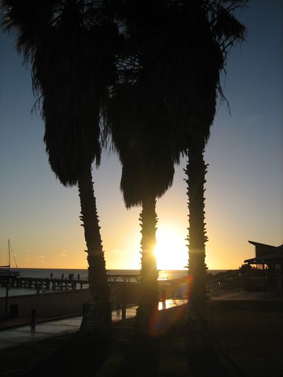 Sonnenaufgang in Monkey Mia