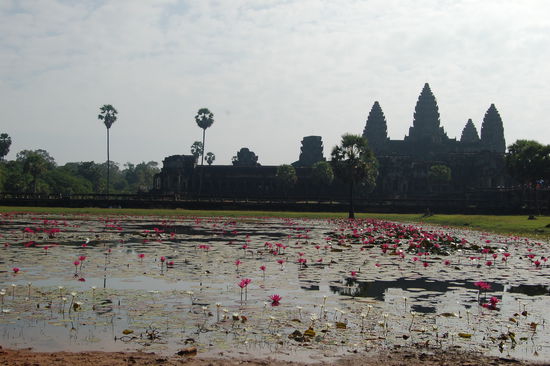 Mutti Angkor Wat