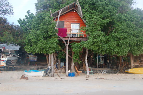 unser Traum-Baum-Haus