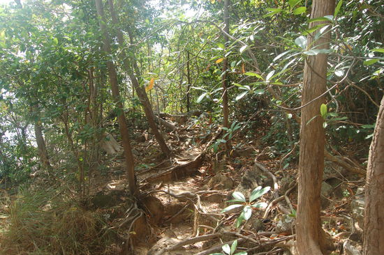 bei Tag das ganze eher harmlos aus