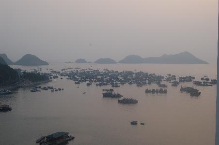 Cat ba Nationalpark