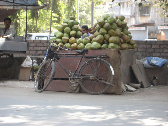wer hat die Kokosnuss geklaut?