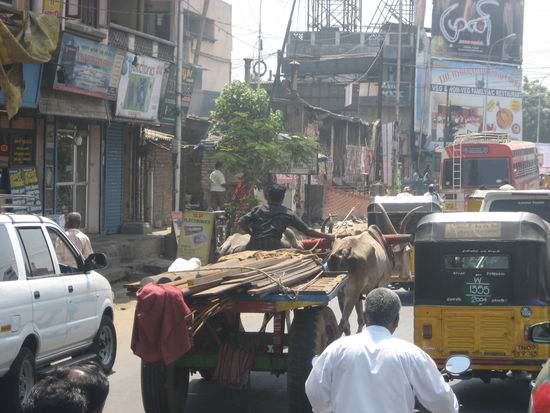 in den Strassen Chennai's