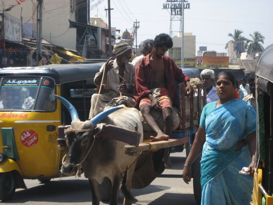 alles was Fuesse, Hufe oder Raeder hat tummelt sich auf den Strassen