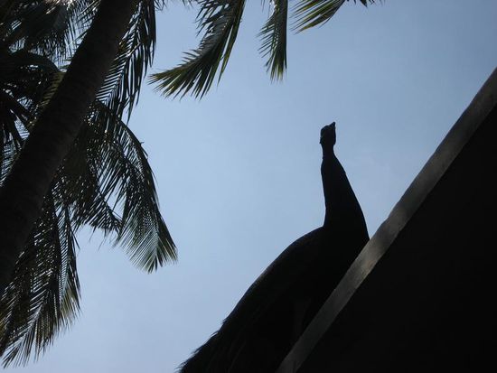 was ist das wohl?????