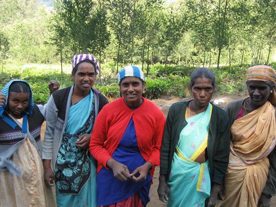 auf dem Weg trifft man immer wieder nette Menschen
das lustige Quintet war wirklich zum bruellen
