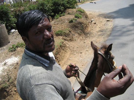 letzte Anweisungen von Marati