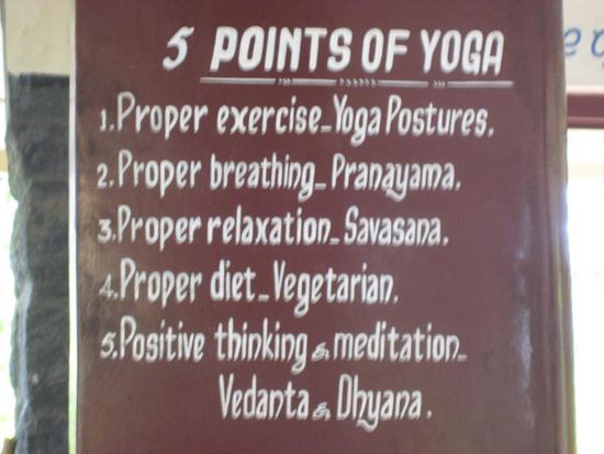 die fuenf Weisheiten des Yoga begruessen einem gleich am Anfang