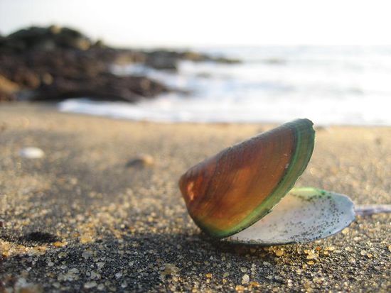 das Foto haett mich fast meine Kamera gekostet