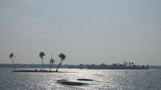 manchmal ist der breite Fluss zu einem grossen See mit vielen Wegen angeschwollen