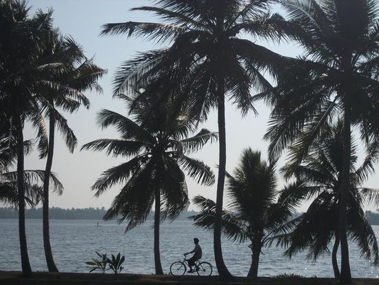 Ein schmaler Pfad zum naechsten Haus