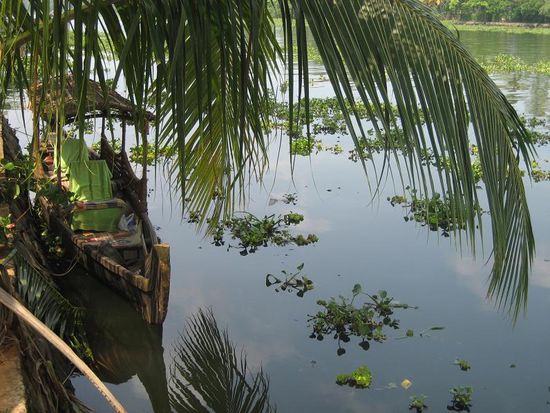 unsere kleine Nusschale