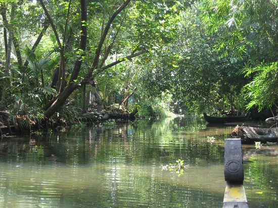 Einer der schmalen Seitenarme in dem ueppiges Leben entspringt...