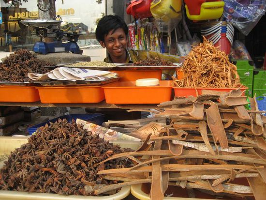 Santosh inmitten von einem kraeftigen Hauch Indien