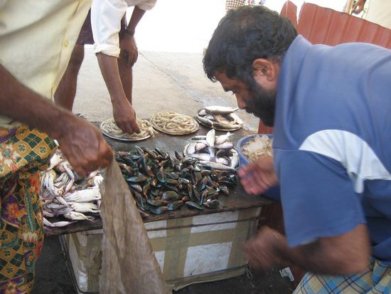 fischer Fisch, Krabben, Muscheln und noch vieles mehr....