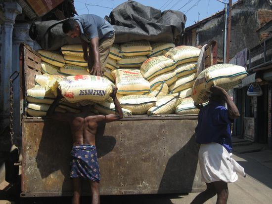 bei der Hitze wirklich kein Zuckerschlecken